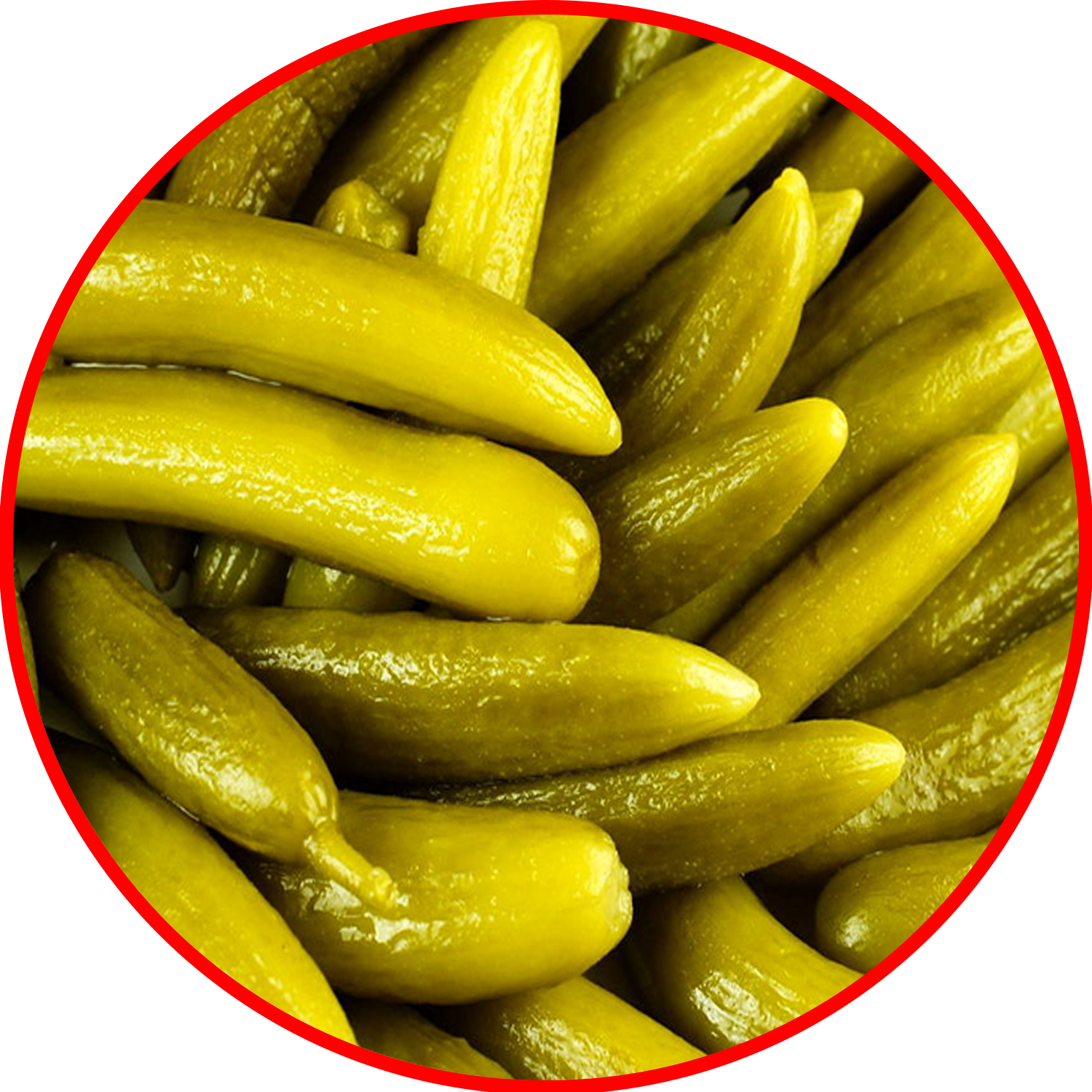 pickled cucumber